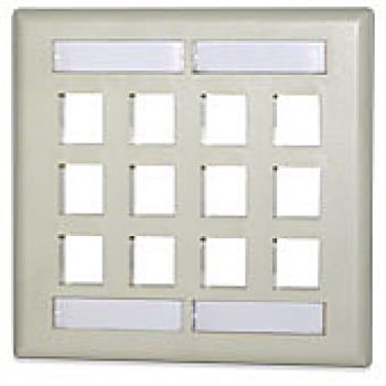 12 port double gang faceplate with labeling